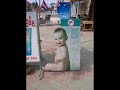 siem reap smile