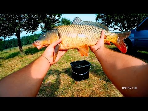 рыбалка на карася и сома рыбалка на карася и сома