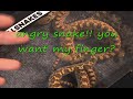 Reptile Expo #1 in Maryland Reptile Expo #1 in Maryland
