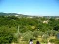 1370MN Stella, near Giano dell'Umbria