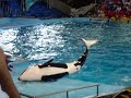 Believe Shamu San Antonio