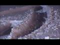 Heavy Snow Causes Problems In Mid-Missouri