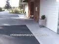 funny animals