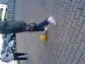 abfuhr für merl in speyer west abfuhr für merl in speyer west