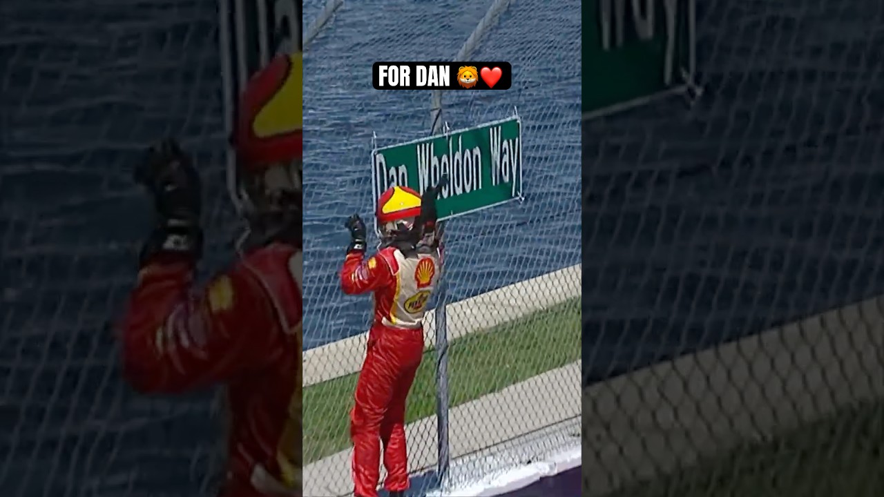 A tribute fitting for Lionheart 🦁❤️ #indycar #racing #stpetersburg #danwheldon