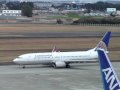 コンチネンタル航空 & JAL & ANA＠仙台空港屋外展望デッキから