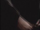 wire daisies - mary jane
directed by charlie paul
production company : smoke & mirrors
� 2008 emi / transistor project / mrv