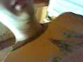 taralli in amore