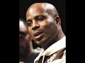 DMX, The Story