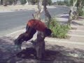 parkour,Guelmim,