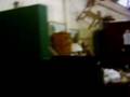 Paranormal Activity at BYGONE TIMES