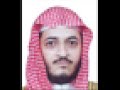 هاني الرفاعي