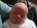 mathys