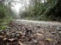 Trilha de Bike (Tapira�)