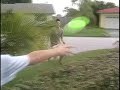 frisbee catch