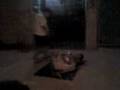 videos de Mamadas.3gp