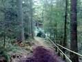 videos de go ape zip wire