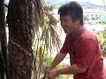 割橡膠