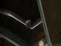 great clips from american psycho:

american psycho