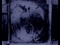 COSTANZA (Tricky's Vocalist) : BURQA