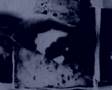 COSTANZA (Tricky's Vocalist) : BURQA