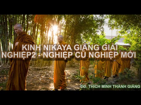 Kinh NIKAYA Giảng Giải - NGHIỆP 2 - Nghiệp Cũ Nghiệp Mới