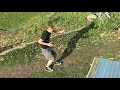 Attack of the Chickens