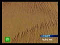 Видеоновость Исследователи NASA выступили с сенсационным заявлением | На Марсе течет вода
