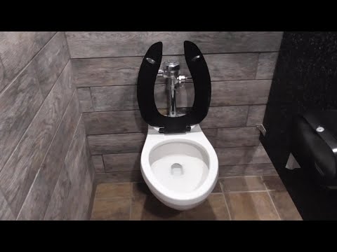[142] Gurgling brand new Gerber wall-hung toilet