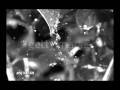 Rain--Priscilla Ahn, Music Video