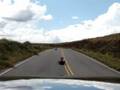 street-luge-Copina