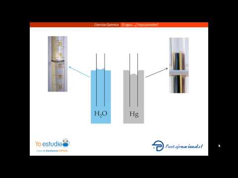 capilaridad. - Capilaridad como propiedad del agua observada en algunas situaciones cotidianas.