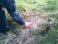 videos de Kmno4/Al   flash bang