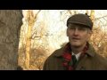 Looking for lichens