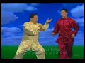 Chen XiaoWang Tai Chi : Taiji Push Hand and technique KF734c Chen XiaoWang Tai Chi : Taiji Push Hand and technique KF734c