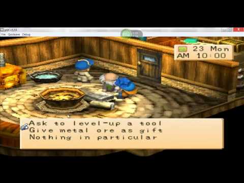 how to equip wonderfuls harvest moon
