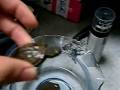 videos de my new pet turtle