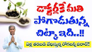 Amazing Health & Nutritional Benefits Of Holy Basil | TULASI | Dr Manthena Satyanarayana Raju Videos