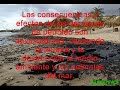 los derrames de petróleo