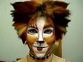 Sassafrass- Cats style makeup