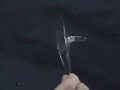 Surface tension of water in microgravity 5