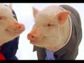 The ’piggy" banks - Nightmare