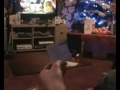Click here to watch this video The Granny Show : The Kangeroo Claw
