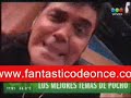 POCHO LA PANTERA