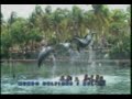 riviera-maya-2005-video-1.html