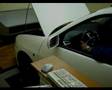 IBIZA CUPRA GREEK 2 IBIZA CUPRA GREEK 2