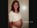 Daphne's Pregnancy Week by Week  (40 weeks of gestation)