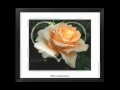 tableaux: minoucha. musique: j-ph. m�rial.