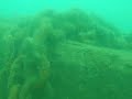 freedive babbacombe