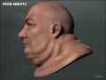 Thaddeus Maharaj - 2008 Modeling Reel